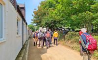 Wanderung durch die Hauptstraße von Sark
