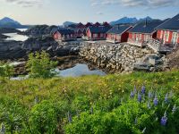 Lofoten - Insel Vestvågøy (Statles Rorbusenter)