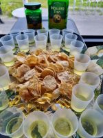 Lofoten - Verkostung von Lebertran und Stockfisch 