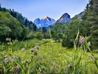 Am frühen Morgen in Kranjska Gora