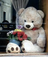 Teddy in einem Gasthaus