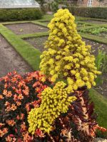 Garten von Mr. Miles