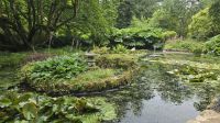 Trewidden Garden