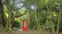 Trewidden Garden