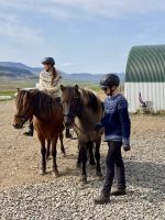 Rundreise Island - Pferdehof Lyttingsstadir