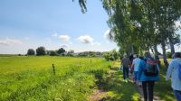 Spaziergang zum Dierhäger Hafen