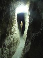 Der Reisebegleiter kam durch !