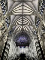 004-Nidarosdom mit Orgel und Fenster.JPEG