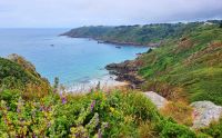 Klippen an der Südostspitze der Insel Guernsey - Jerbourg Halbinsel