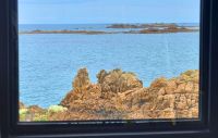 Felsentiere Affe und Kamel an der Westküste von Guernsey