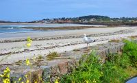 Strand an der Westküste von Guernsey