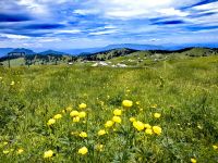 Blick auf die Steiner Alpen, Velika Planina