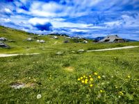 Wir wandern auf der Velika Planina