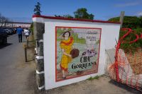 37. Teeplantage Gorreana, Sao Miguel, Azoren