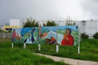 68. Ananasplantage Ponta Delgada, Sao Miguel, Azoren