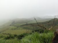 78. Auffahrt zum Vista do Rei, Sao Miguel, Azoren