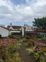 243. Biscoitos Adega Brum, Weinverkostung, Terceira, Azoren