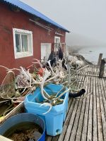 Rundreise Island - Eskifjörður