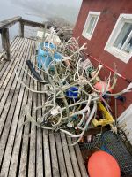 Rundreise Island - Eskifjörður