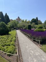 Bodenseerundreise 11.06.25 Ankunft Schloß Salem