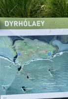 Rundreise Island - Dyrholaey Strand mit Papageientauchern.