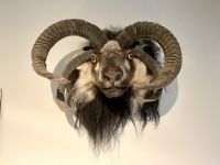 Rundreise Island - Skogar Museum