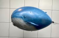 Rundreise Island - Perlan Reykjavik