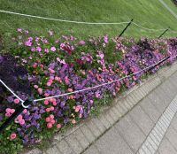 Rundreise Island - Stadtbummel Reykjavik