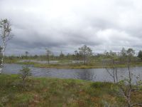 Kemeri Nationalpark, Moorsee