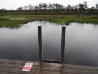 Soomaa Nationalpark, der Moorpool