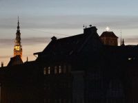 Die Reise geht leider zu Ende