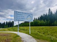 Tag 6 - Überquerung des Polarkreises in südlicher Richtung 