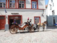 Tallinn, auf dem Marktplatz