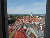 Tallinn, Blick aus dem Turm der Nikolaikirche auf die Stadt