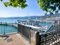 Am Zürichsee