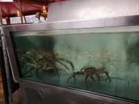 auf dem Fischmarkt - Bergen 