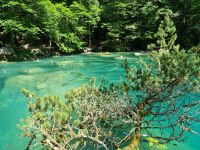 Naturpark Blausee 
