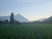 Blick zum Niesen...