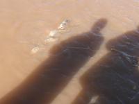 Karpfenteich in Marrakesch