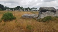 Carnac, Dolmen von Kermario