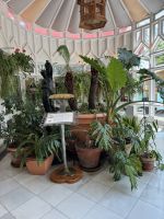 Capricho de Gaudi.JPG