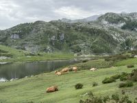 Covadonga .JPG