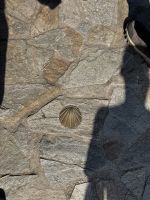 Santiago de Compostela.JPG