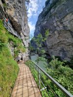 Aareschlucht