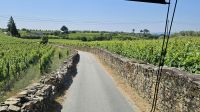 Weingut  in Favaios (2).jpg