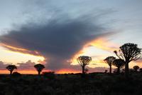 Sonnenuntergang im Köcherbaumwald