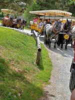 Val Roseg -Start mit drei Kutschen