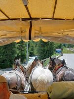 Ein Dreigespann ist dabei