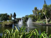 Funchal , Santa Caterina - Park
