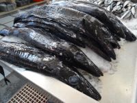 Funchal, Markthalle - der berühmte Schwarze Degenfisch